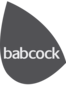 babcock-international-logo - Edited (1)